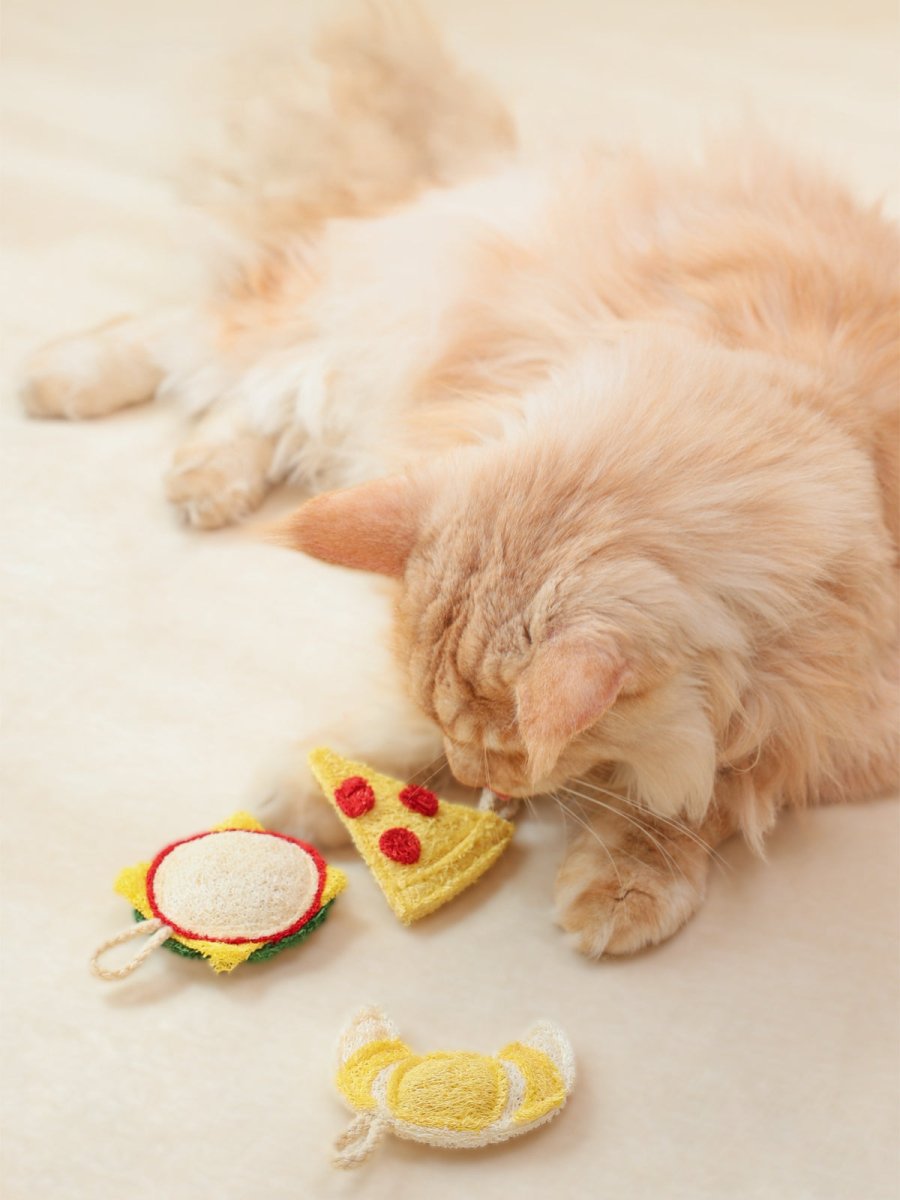 Natural Loofah Catnip Cat Toy Food Series