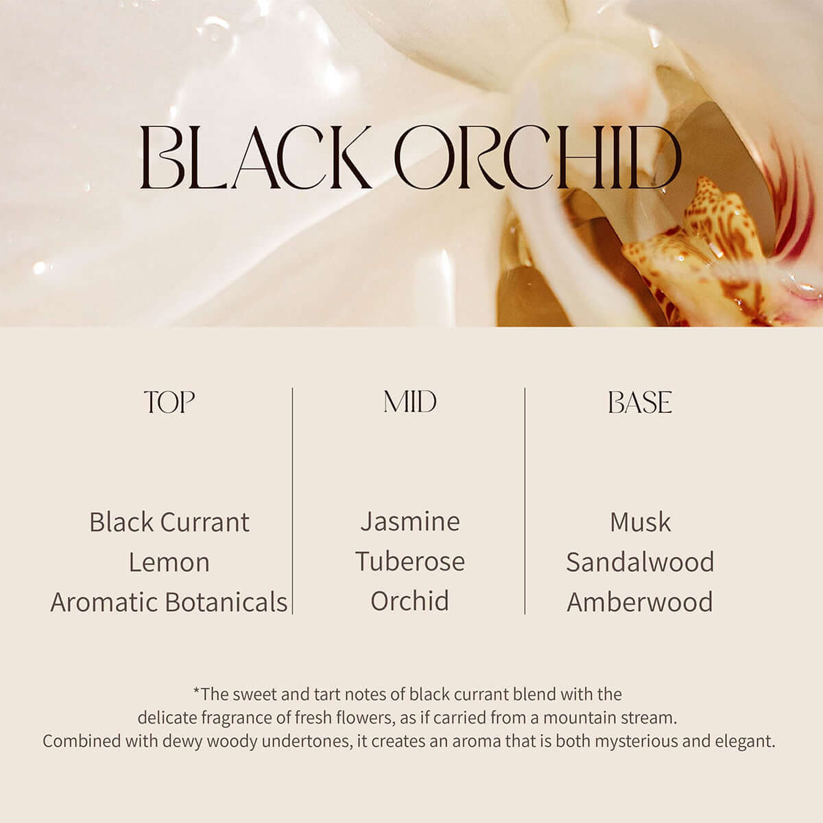 nourishing-body-oil_black-orchid_3.jpg