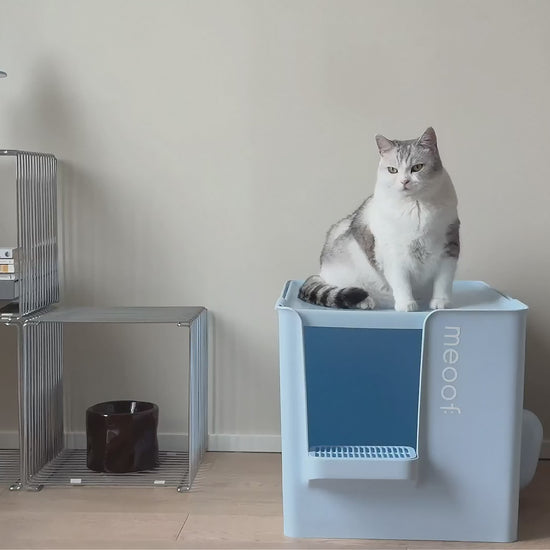 extra-large-semi-enclosed-cat-litter-box-with-step-scoop-set