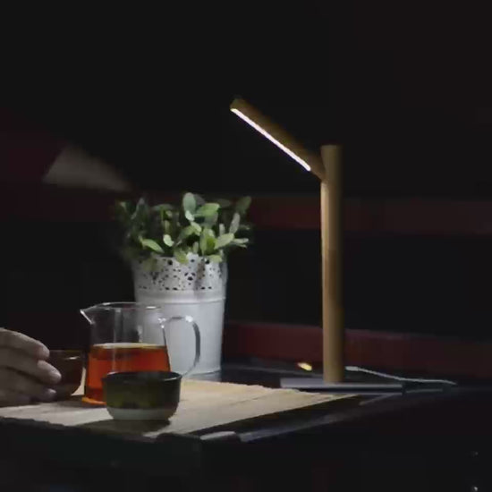 nordic-solid-wood-eye-protecting-lamp-with-magnetic-base_1