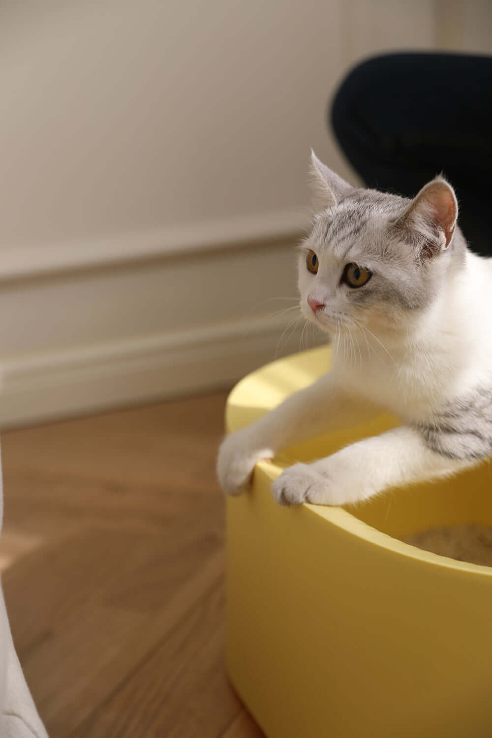 purring-cat-litter-tray-with-scoop_yellow_5.jpg