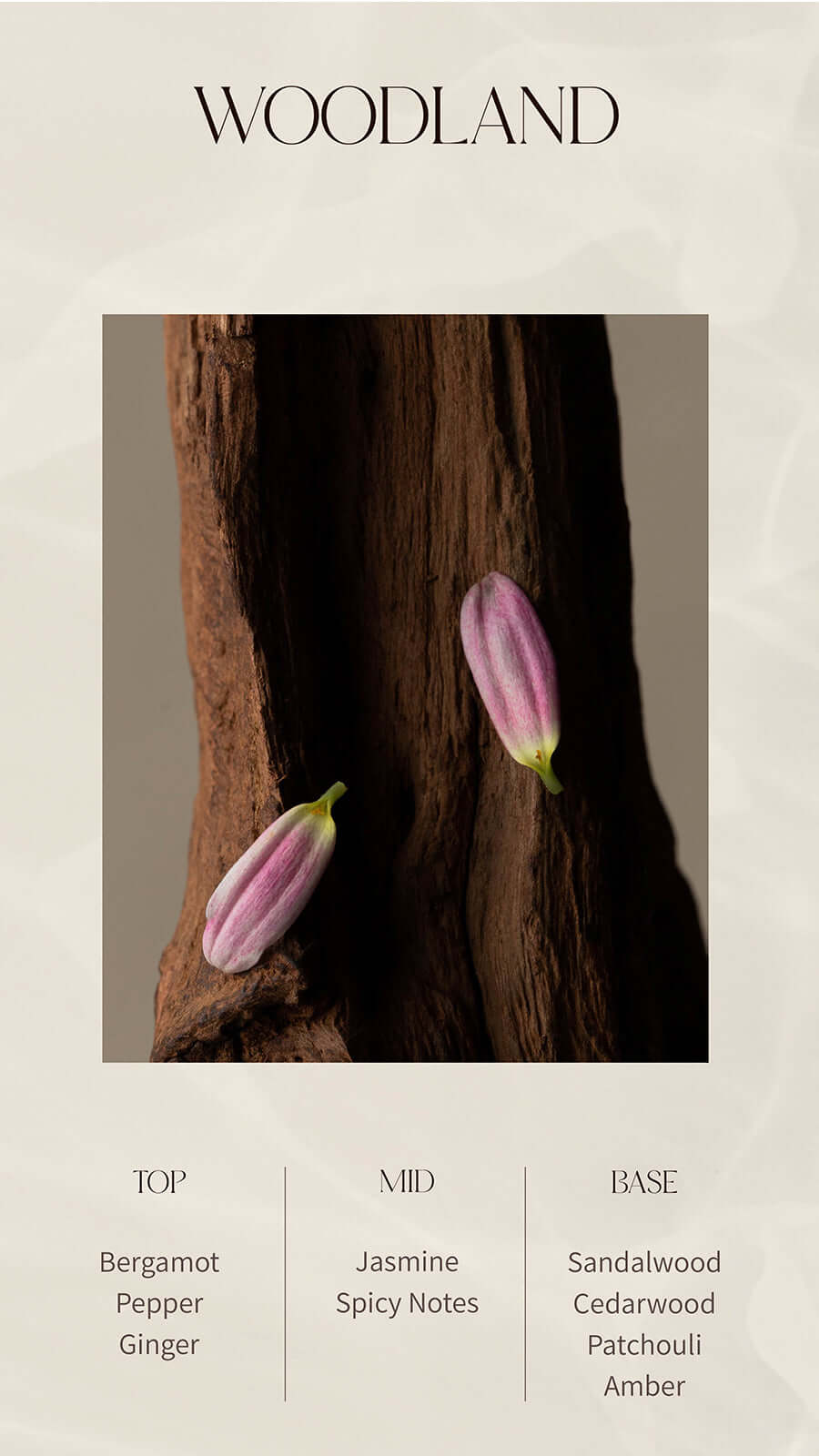 sea salt glowing body scrub woodland 5