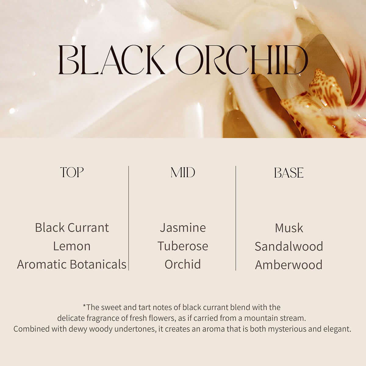 silken body lotion black orchid 3