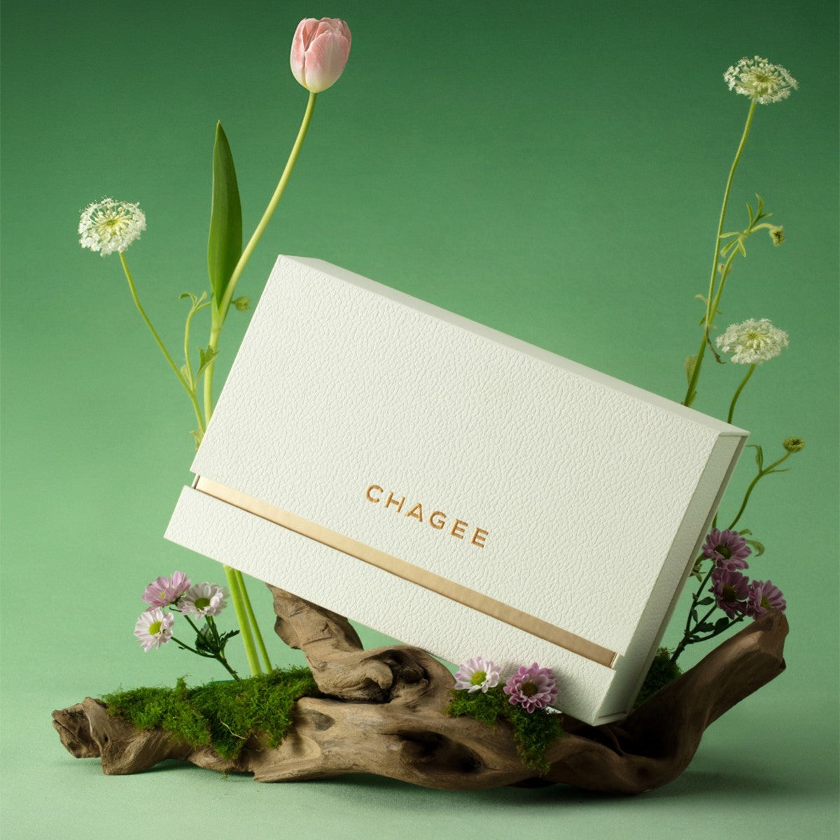 Six Botanicals Premium Tea Collection