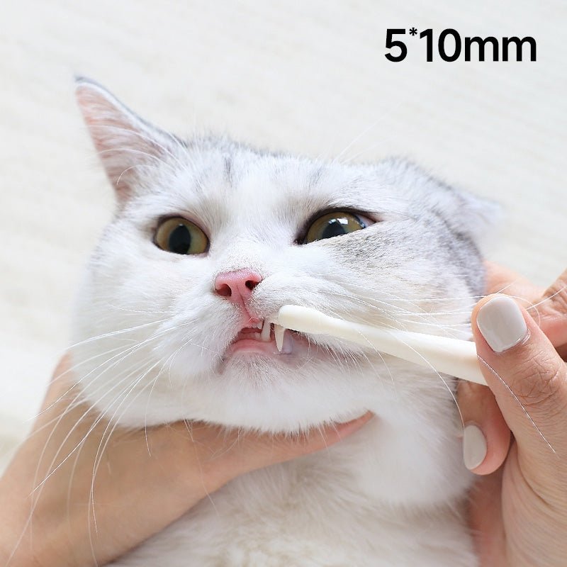 Small 7 - Head Soft Bristle Pet Toothbrush for Cats & Small Dogs