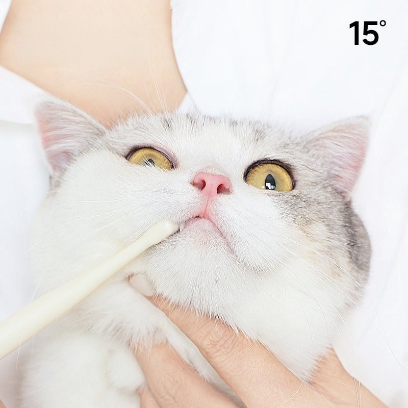 Small 7 - Head Soft Bristle Pet Toothbrush for Cats & Small Dogs
