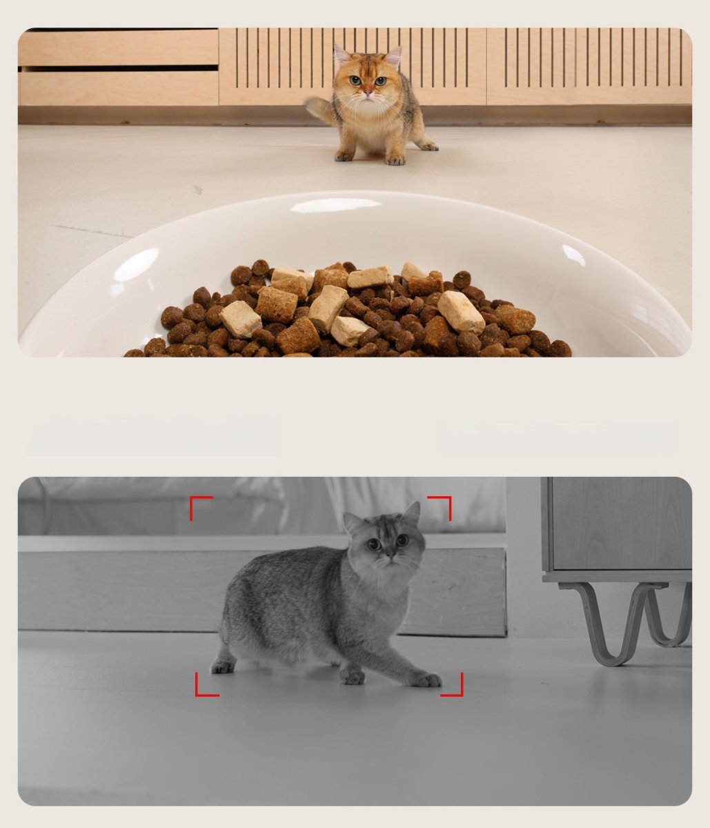 Smart Automatic Pet Feeder with Camera & App Control - 4L Capacity