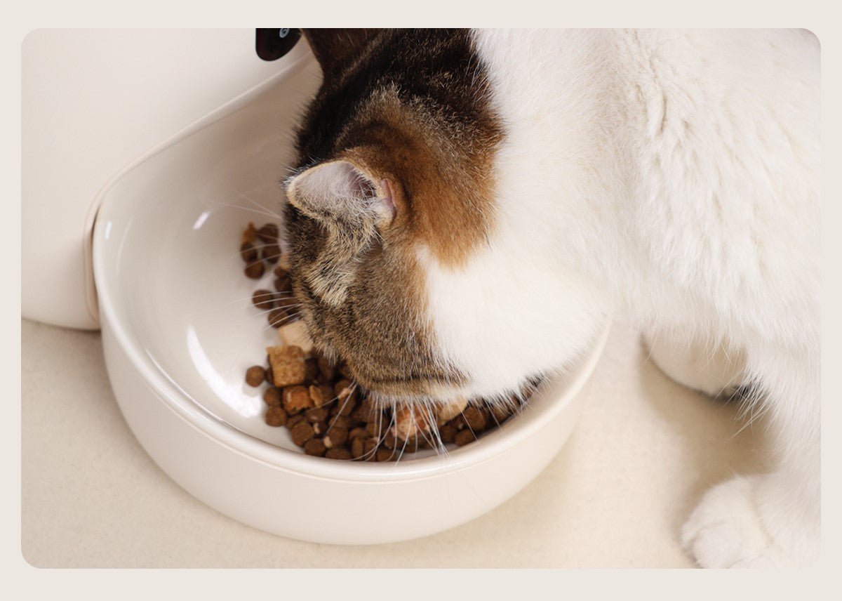 Smart Automatic Pet Feeder with Camera & App Control - 4L Capacity