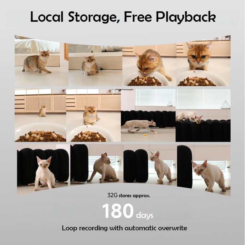 Smart Automatic Pet Feeder with Camera & App Control - 4L Capacity