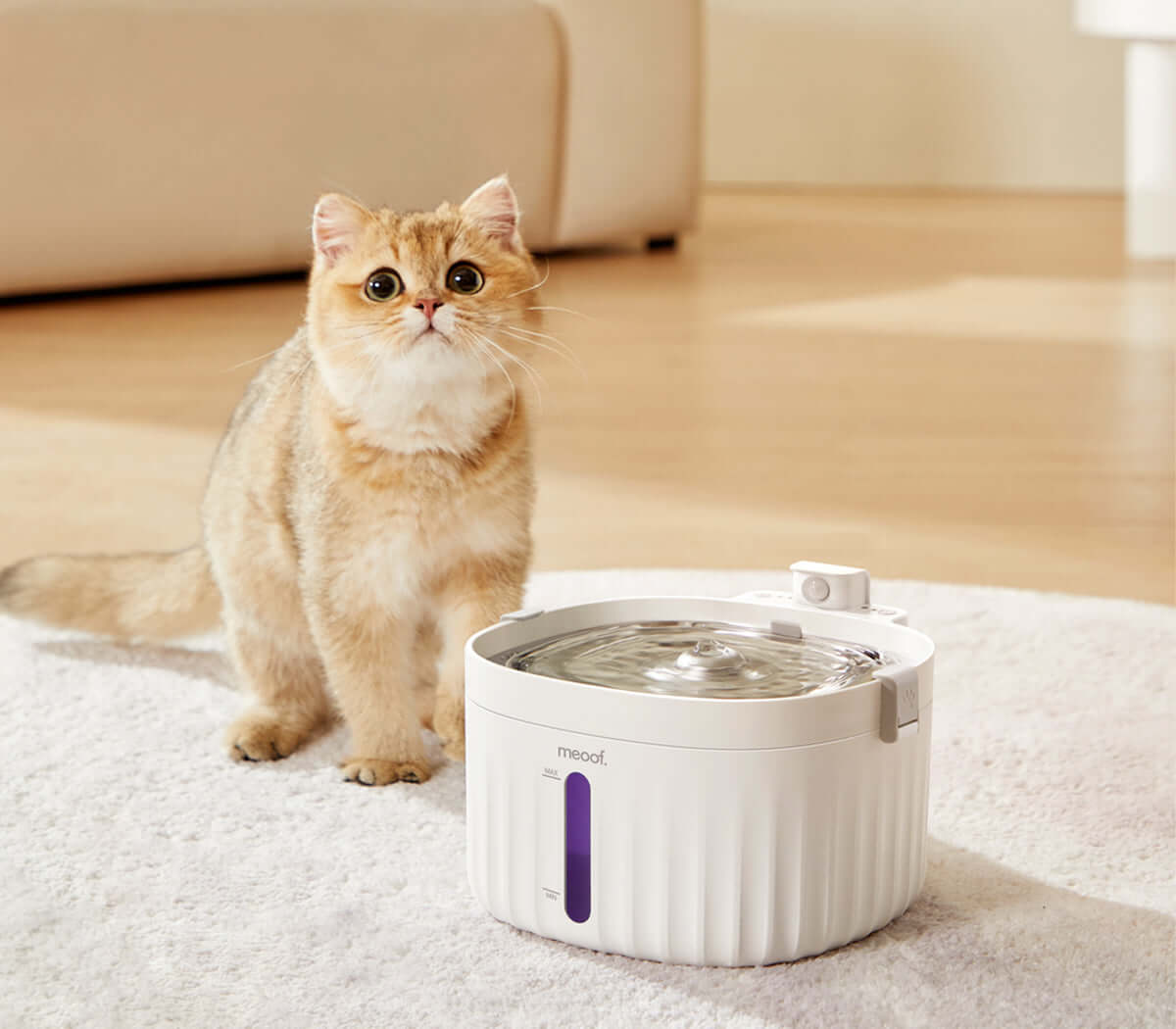 smart pet water fountain 1