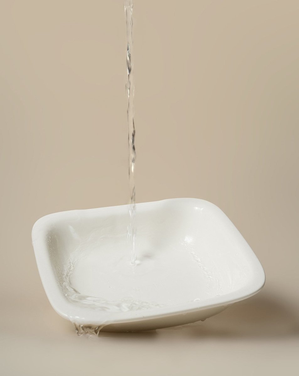 Smart Privacy Camera Automatic Pet Feeder Ceramic Plate Bowl