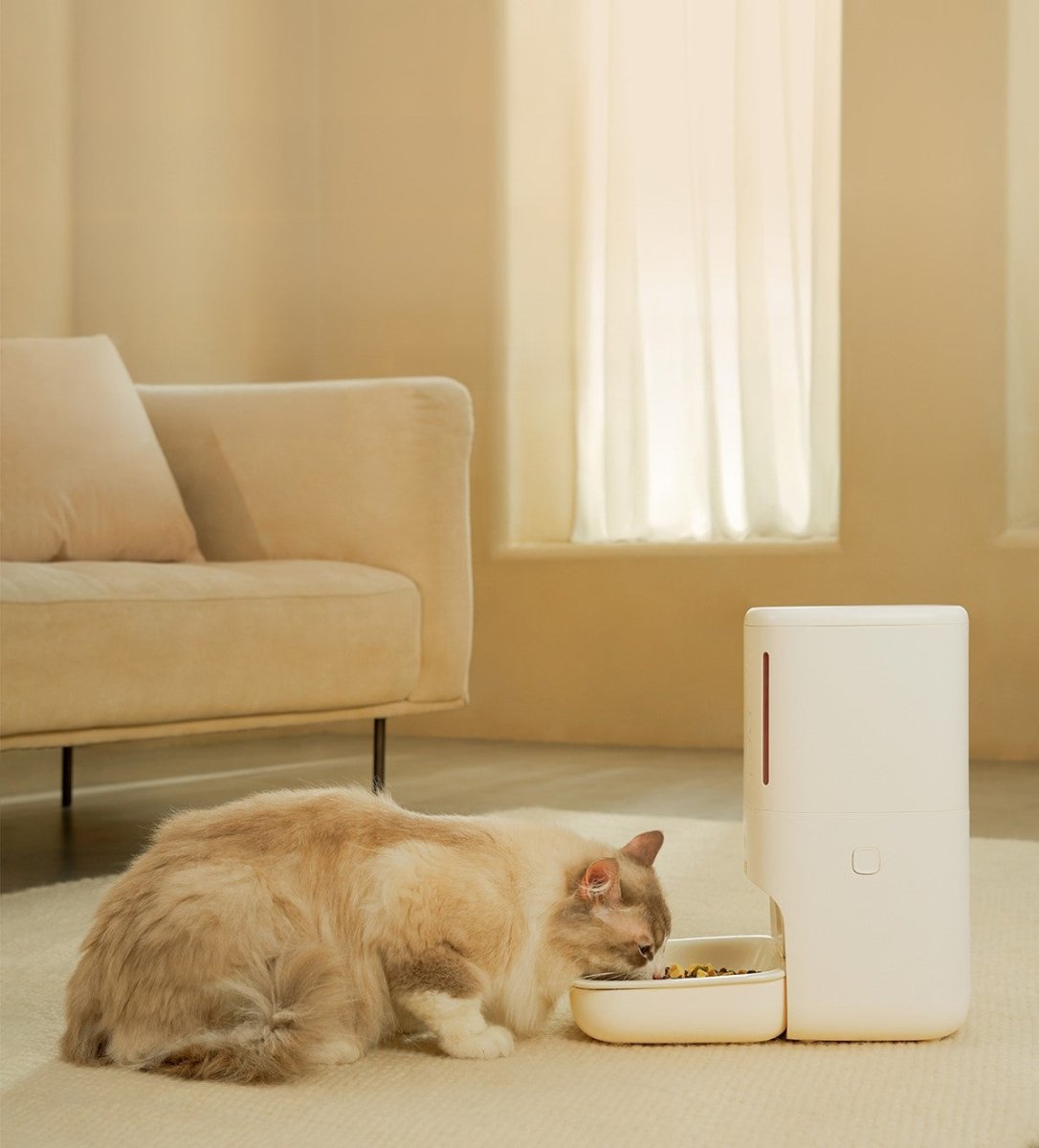 Smart Privacy Camera Automatic Pet Feeder