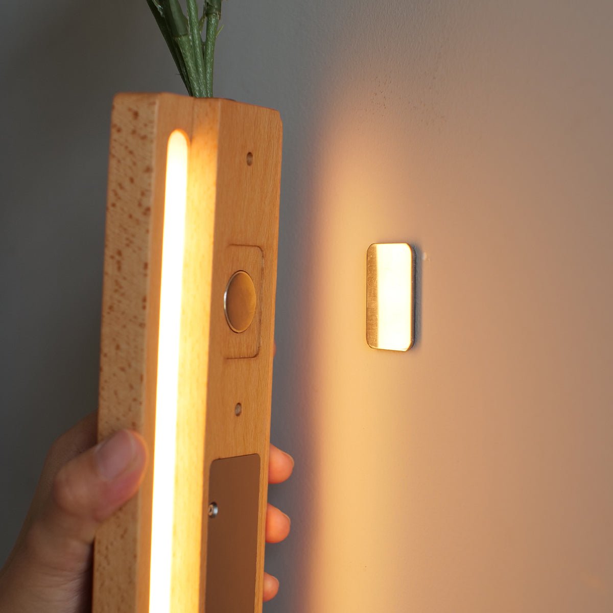 Solid Wood Motion Sensor Wall Light with Glass Vase