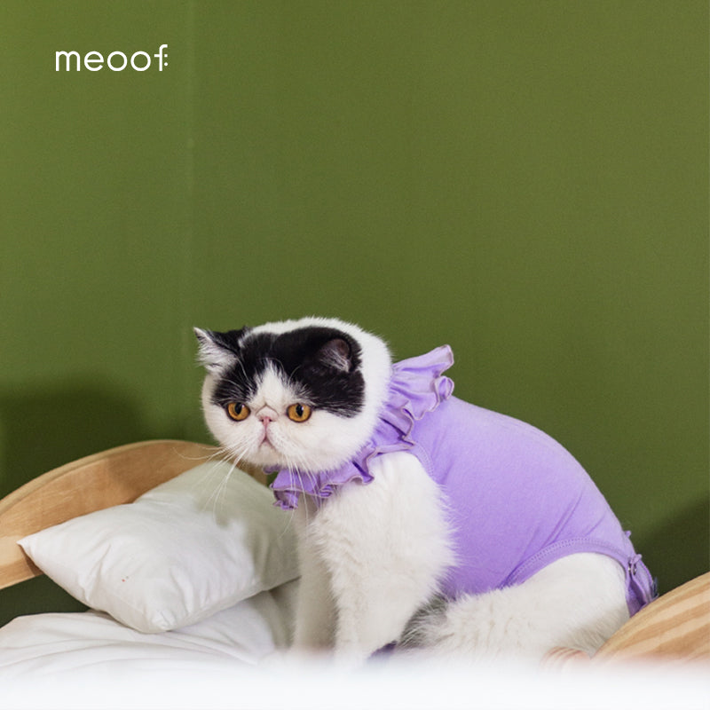 sweet cat recovery suit all lavender 2