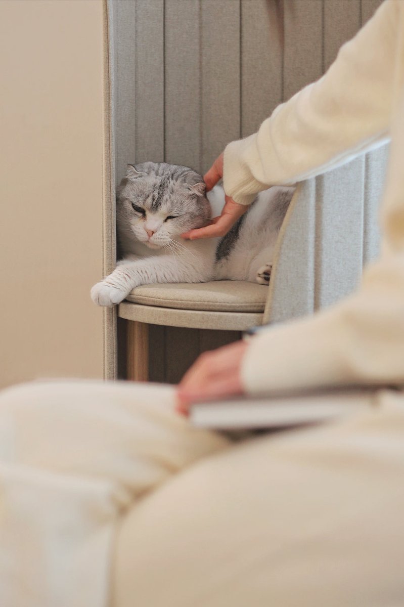 Time Tower Modern Cat Tree Condo – Space Saving Vertical Cat Tower