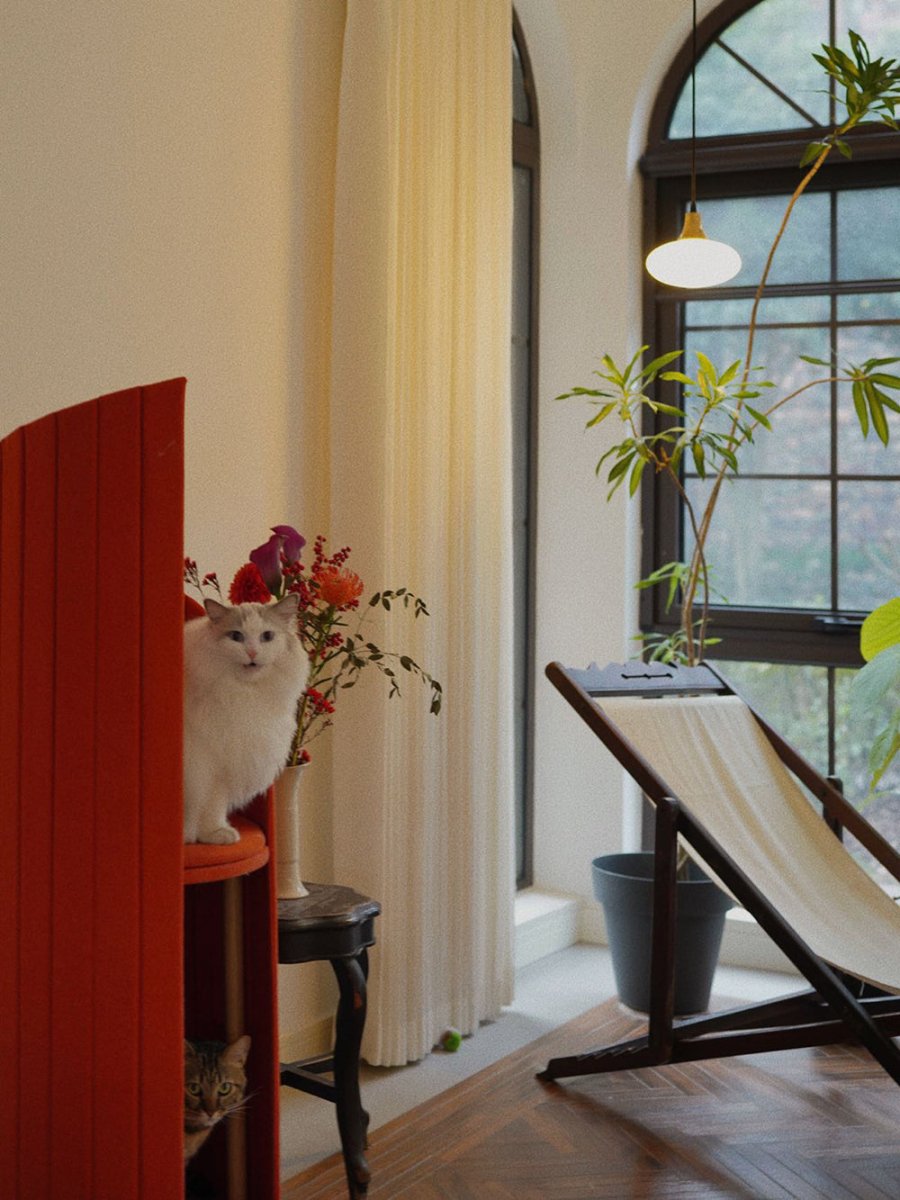 Time Tower Modern Cat Tree Condo – Space Saving Vertical Cat Tower