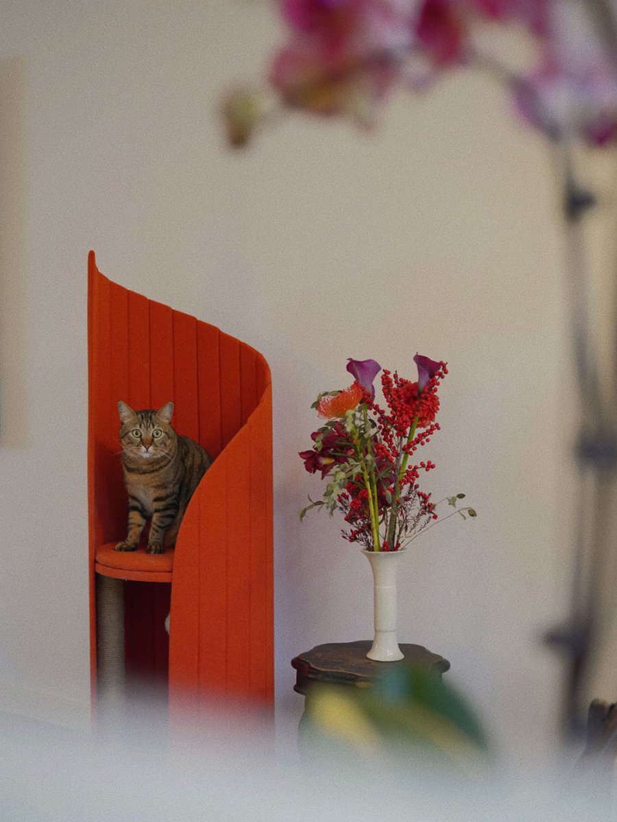 Time Tower Modern Cat Tree Condo – Space Saving Vertical Cat Tower