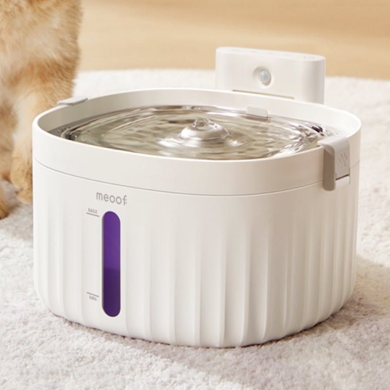 Wireless Smart Sensor Pet Water Fountain with Ceramic Plate