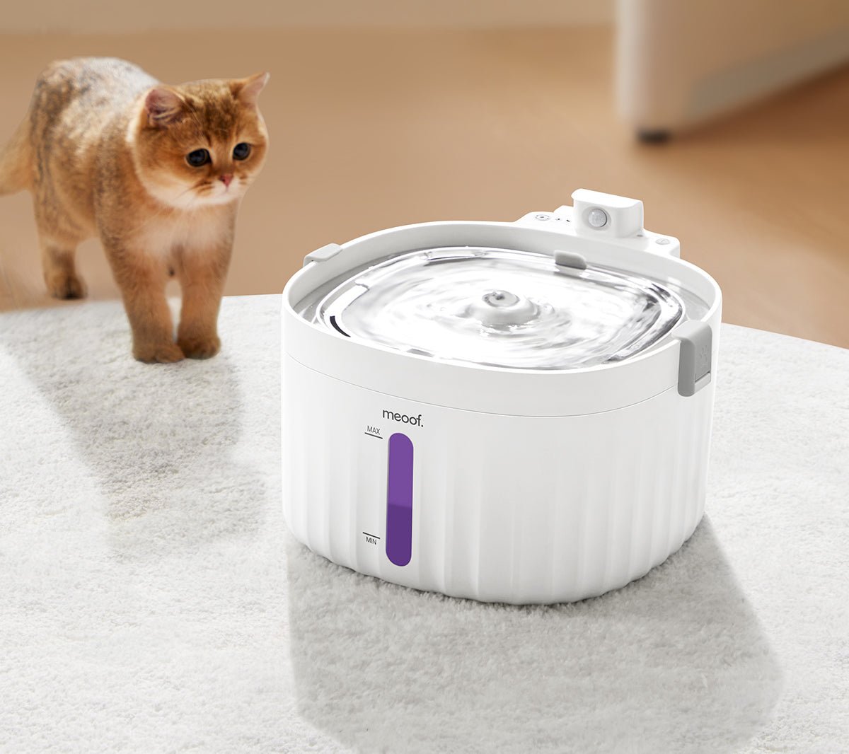 Wireless Smart Sensor Pet Water Fountain with Ceramic Plate