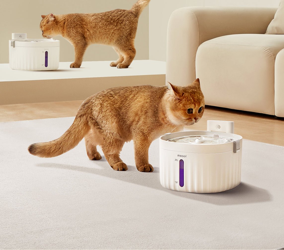 Wireless Smart Sensor Pet Water Fountain with Ceramic Plate