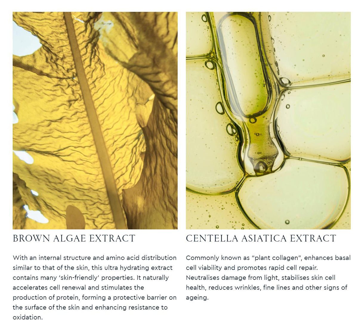 21 Day Renew Serum 2ml*21   0cm