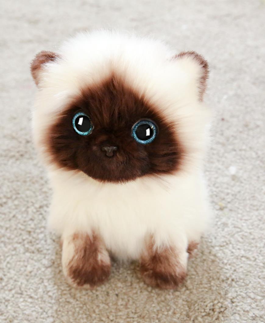 Adorable Lifelike White Siamese Cat Plush Toy   0cm