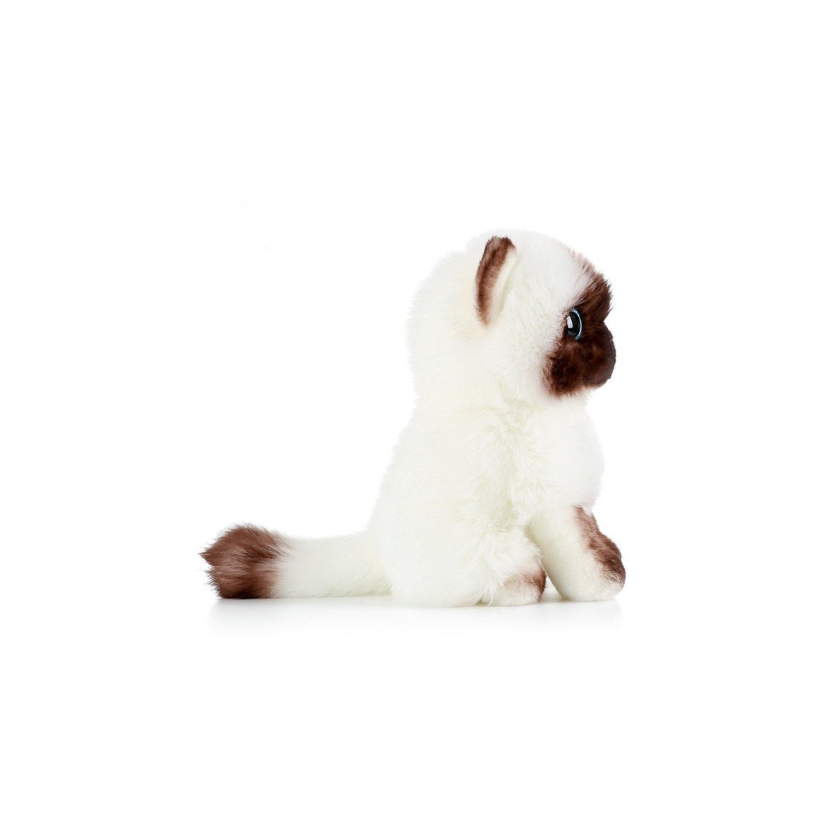 Adorable Lifelike White Siamese Cat Plush Toy - 0cm