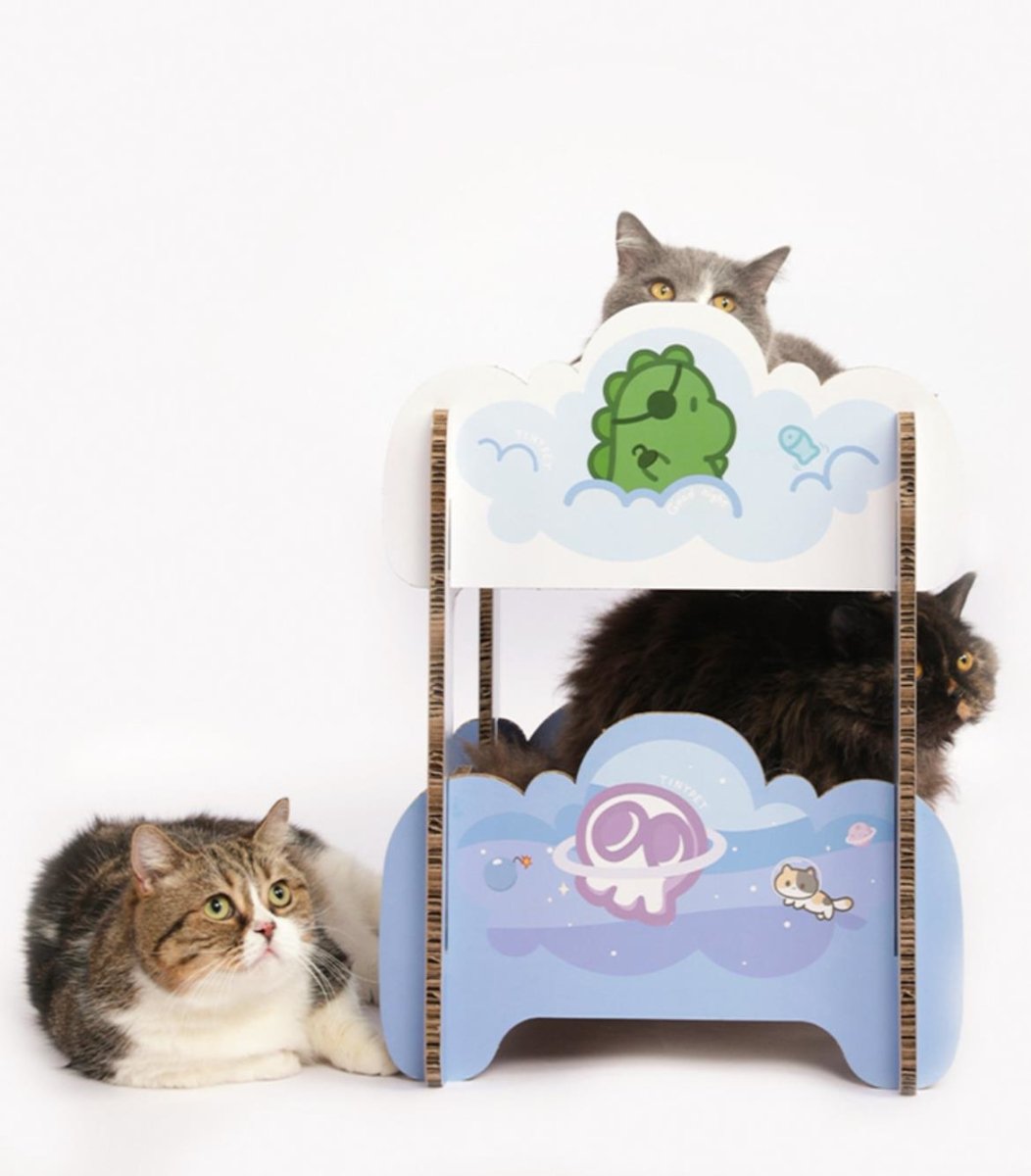 Boys' Dormitory Blue Cat Scratching Board   0cm