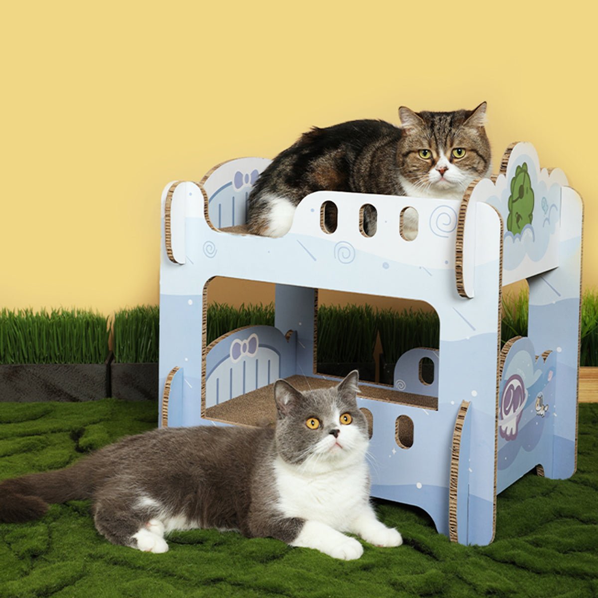 Boys' Dormitory Blue Cat Scratching Board   0cm