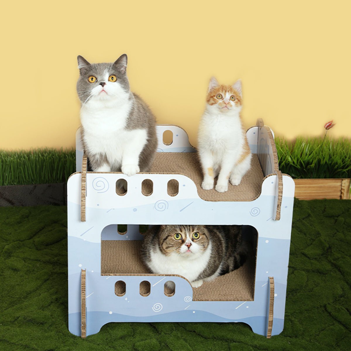 Boys' Dormitory Blue Cat Scratching Board   0cm