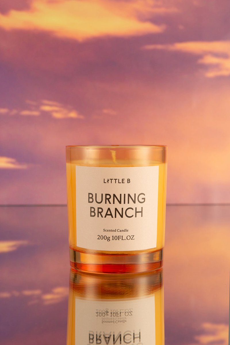 Burning Branch 200g Scented Candle   0cm
