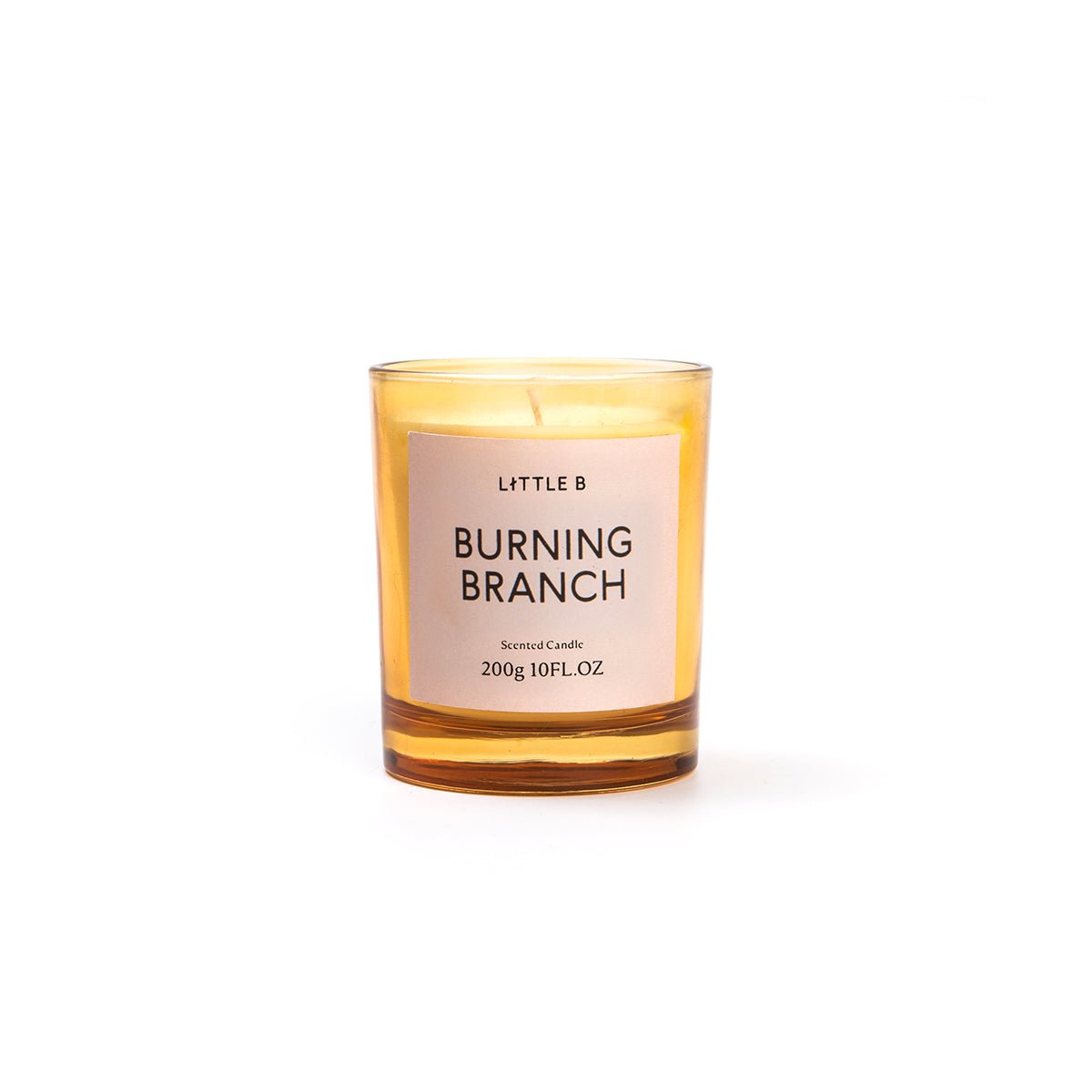 Burning Branch 200g Scented Candle   0cm