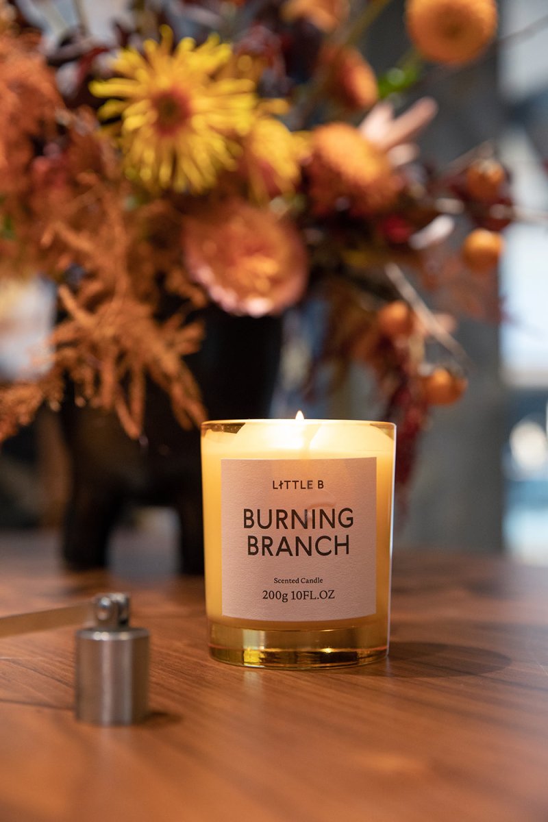 Burning Branch 200g Scented Candle   0cm