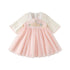 Butterfly Valley Embroidery Girl Mesh Pink Dress - 0cm
