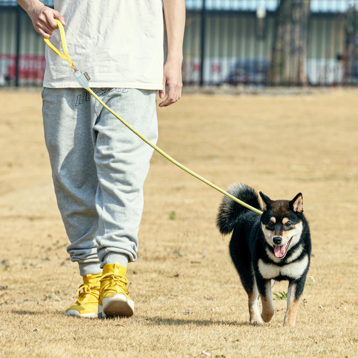 Classic Dog Slip Lead Yellow P-leash - 0cm