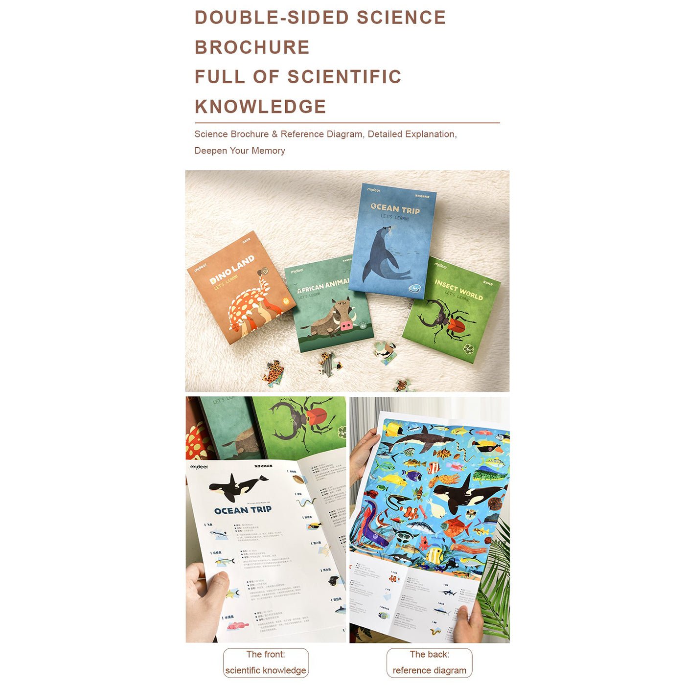 Dinosaur Land 126pcs   0cm