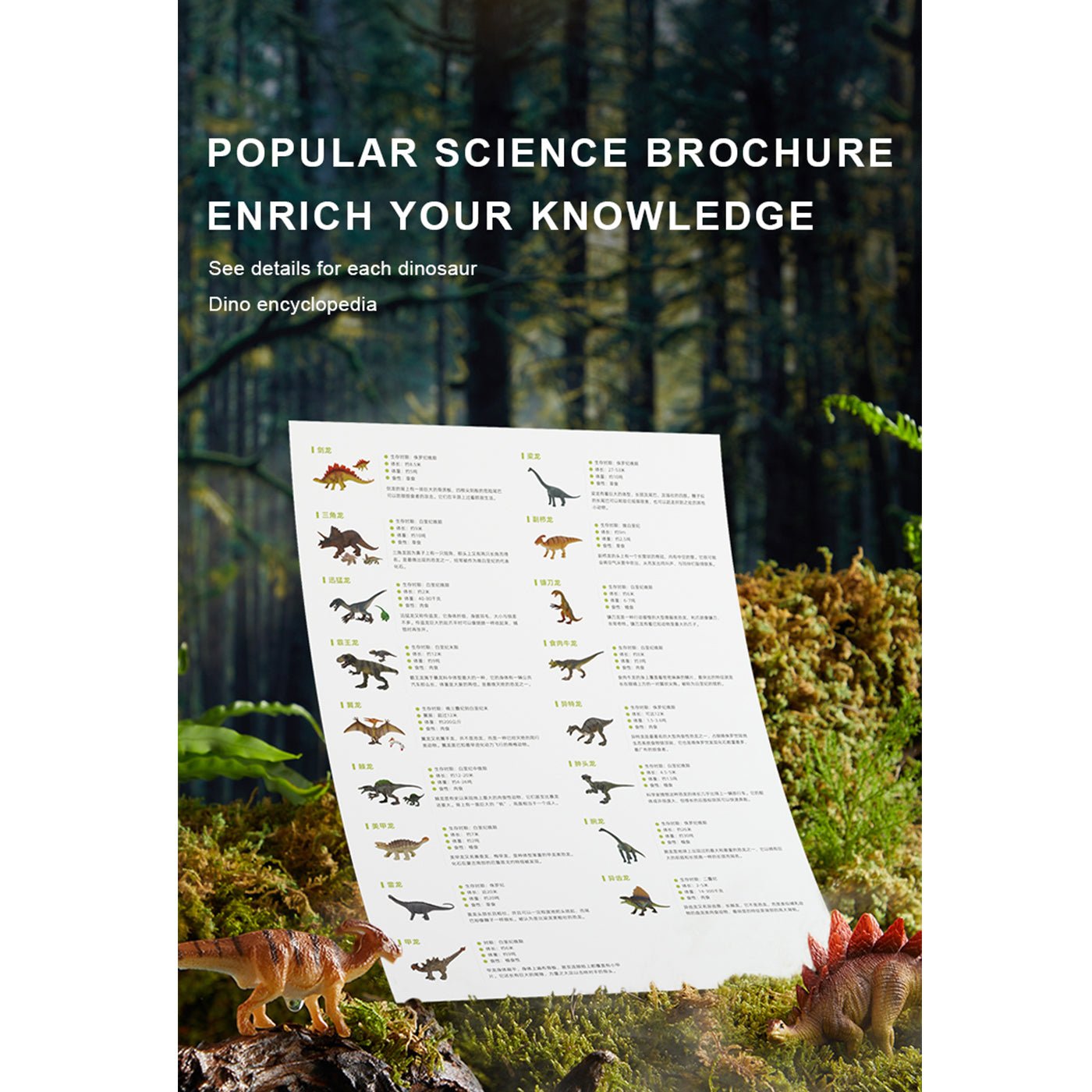 Dinosaur Toys Set 24pcs   0cm