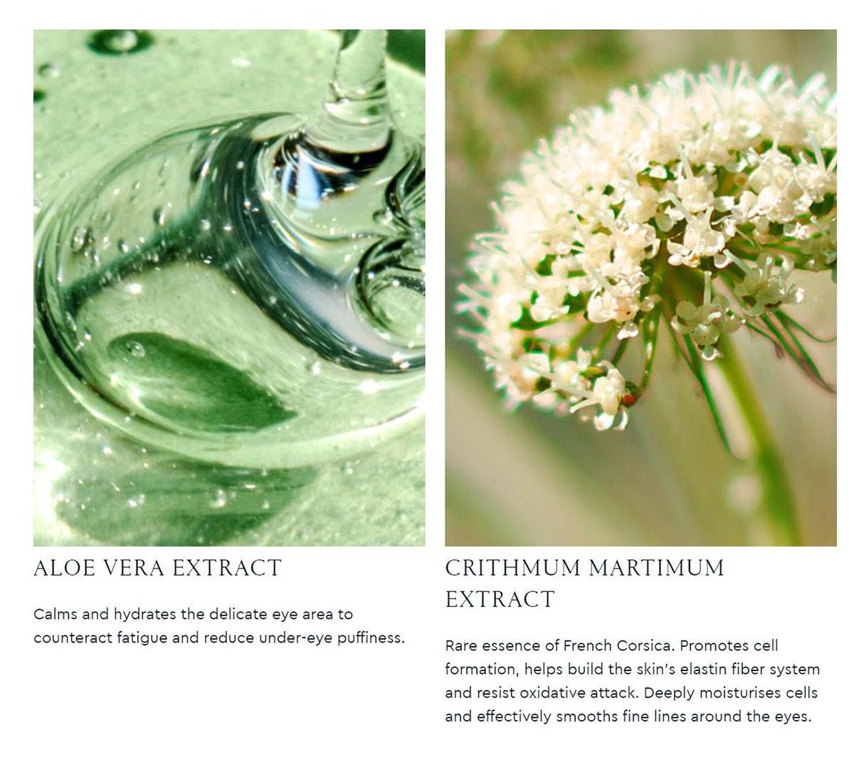 Galaxy 4D Eye Cream 20ml   0cm