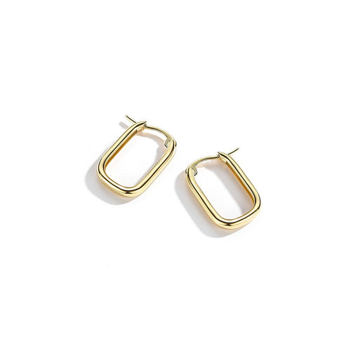 Hollow Gate Gold Earrings   0cm