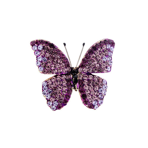 King Butterfly Purple Brooch   0cm