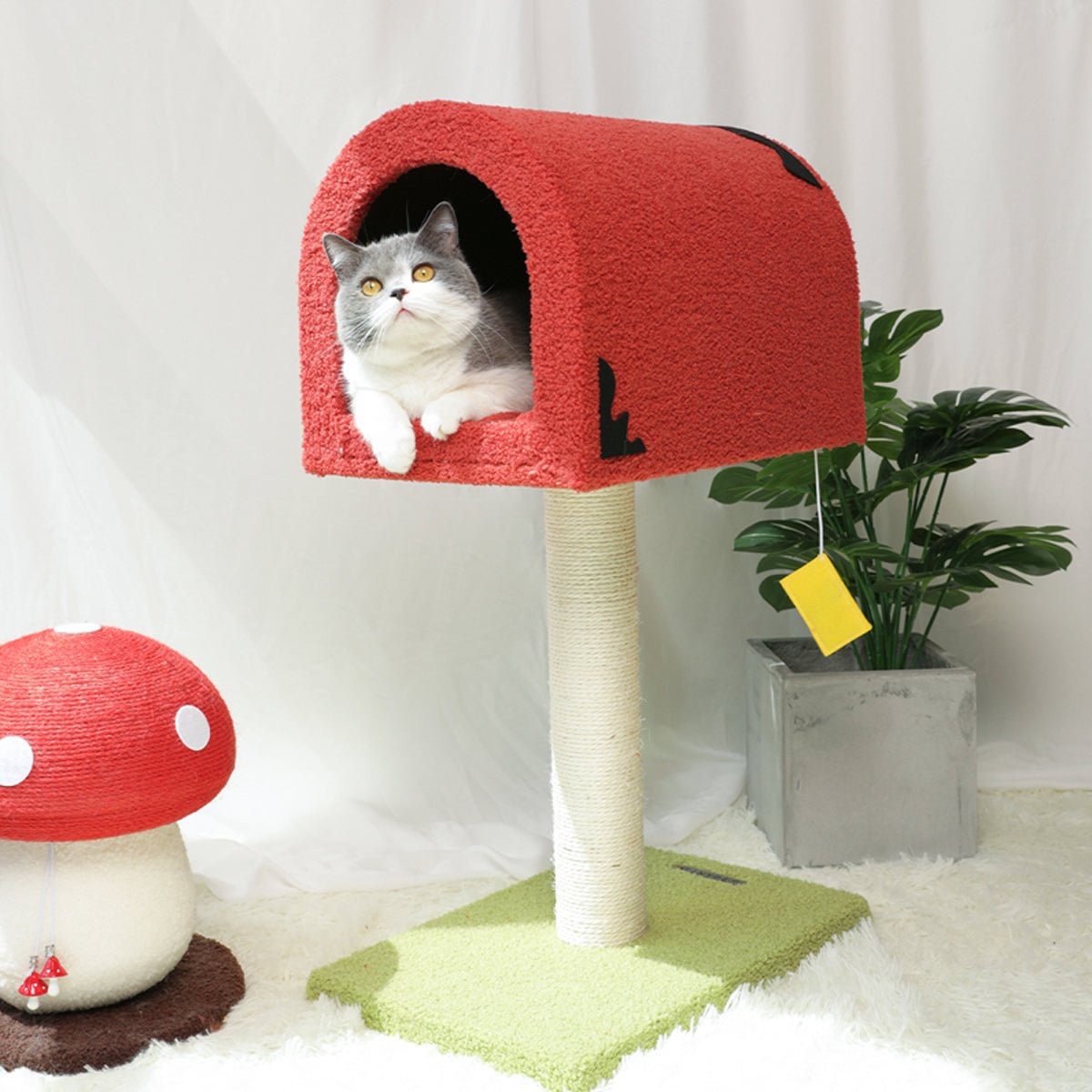 Mailbox Red Climbing Frame Cat Tree   0cm