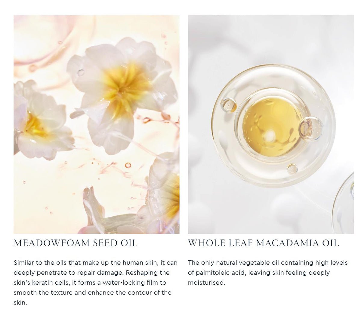 Meadowfoam Moistening Oil 30ml   0cm