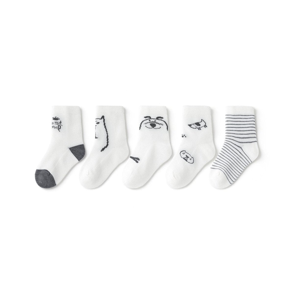 My Best Friend Thin Mesh Breathable Boy 5pcs Crew Socks Set   0cm