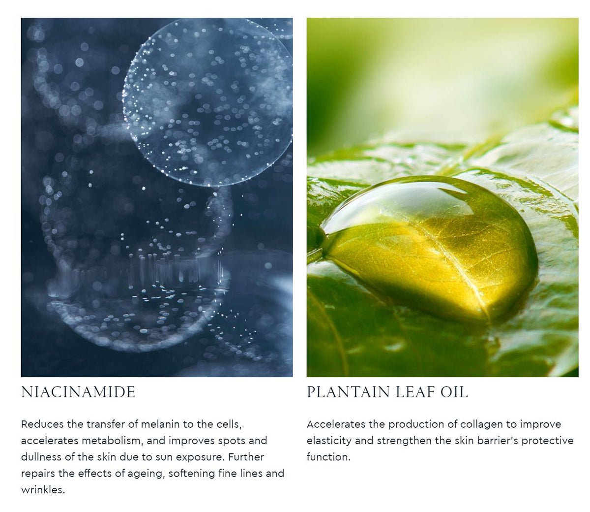 Natural Bright Suncreen 50ml   0cm