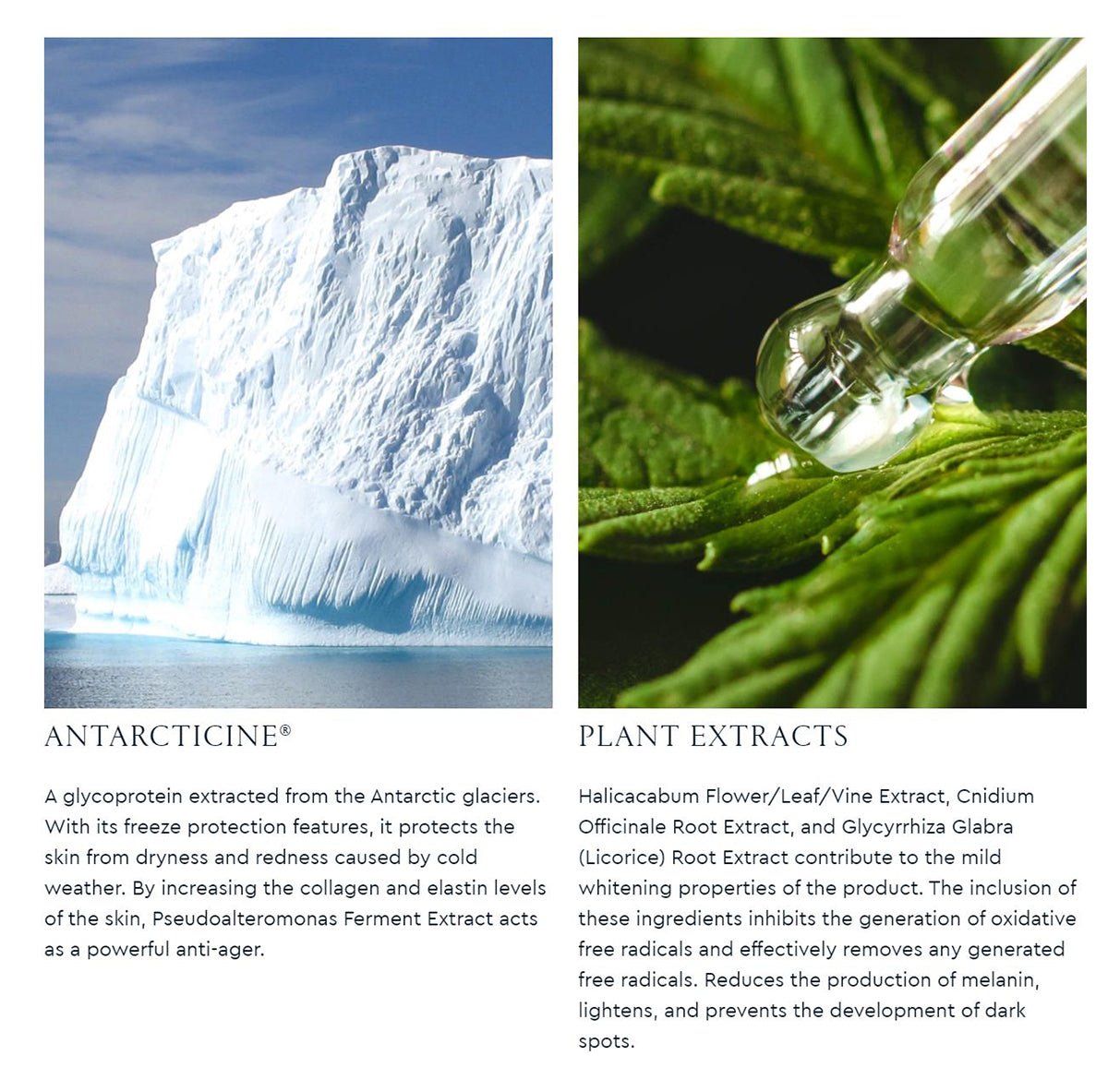 Natural Bright Suncreen 50ml   0cm