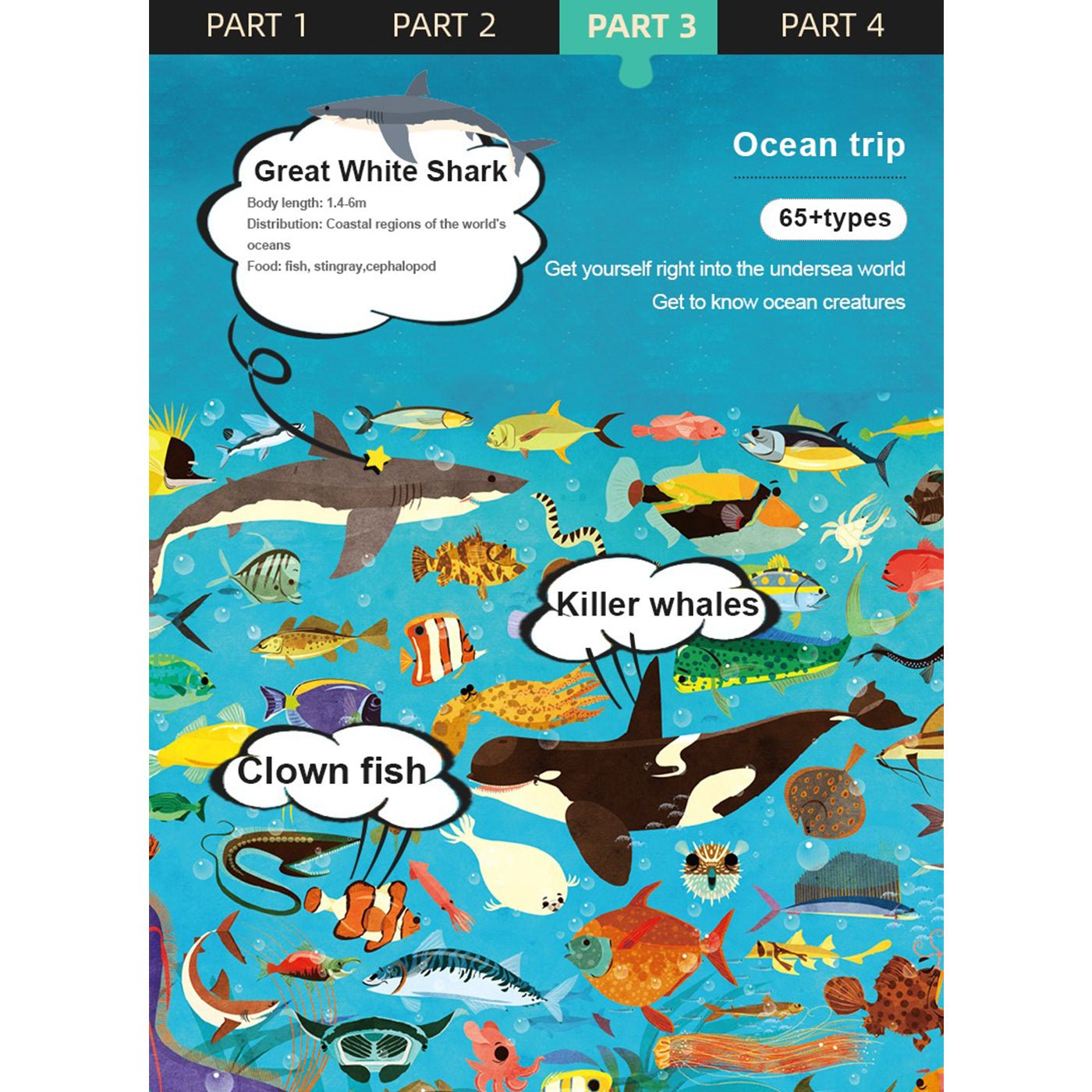 Ocean Trip 126pcs   0cm