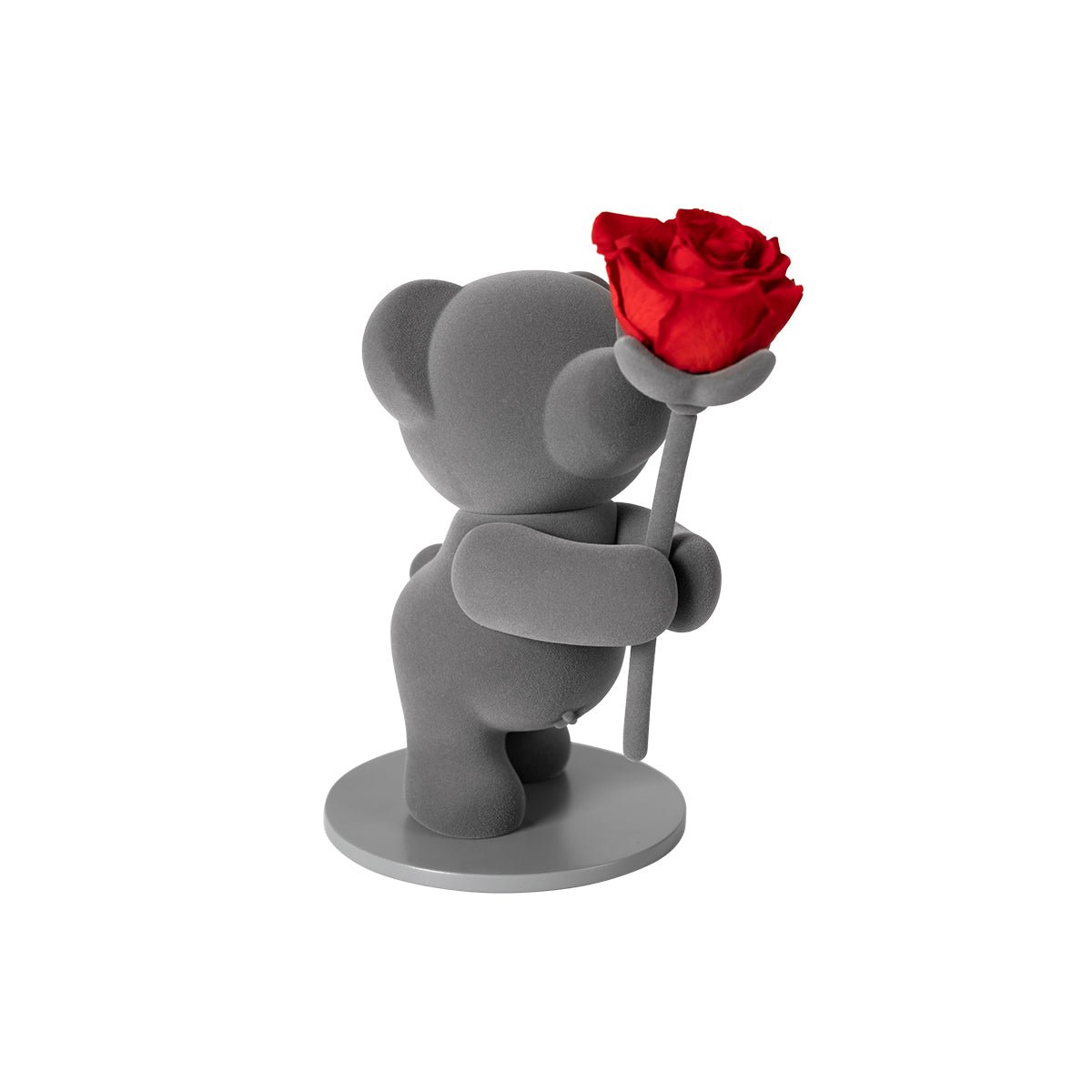 "Presenting A Red Rose" Eternal Flowers Rose Teddy Bear Gift Set   0cm