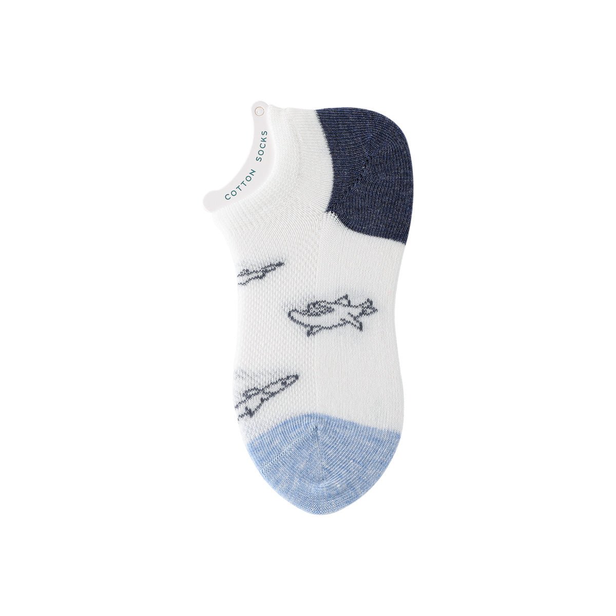 Shark Pool Thin Mesh Breathable Boy 5pcs Ankle Socks Set   0cm
