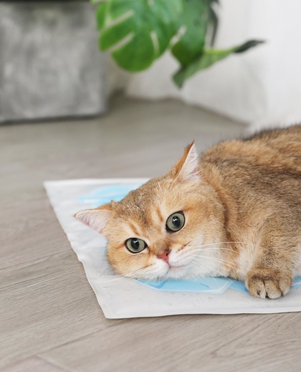 Summer Cooling Pet Ice Mat   0cm