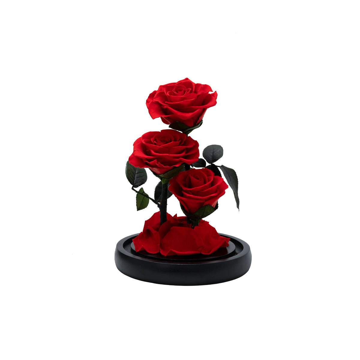 "Through Three Lifetimes, I Only Love You" Eternal Rose Flowers Gift   0cm